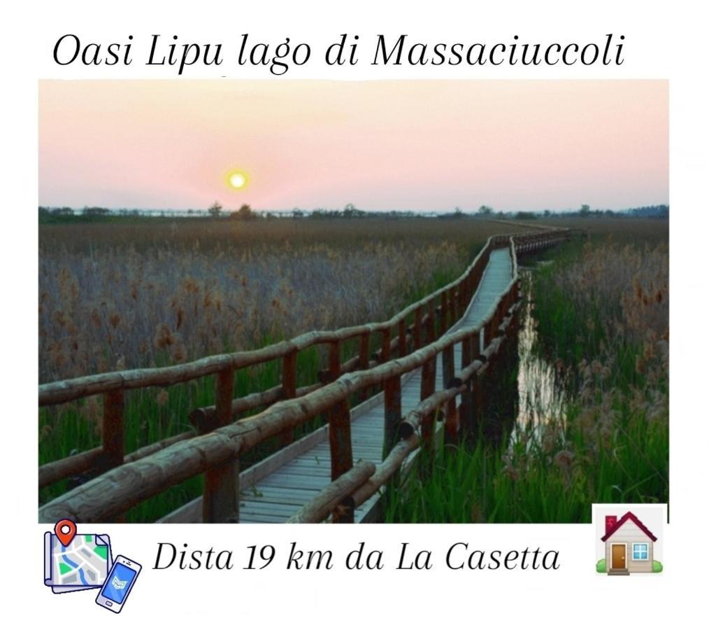 La Casetta Camaiore Esterno foto